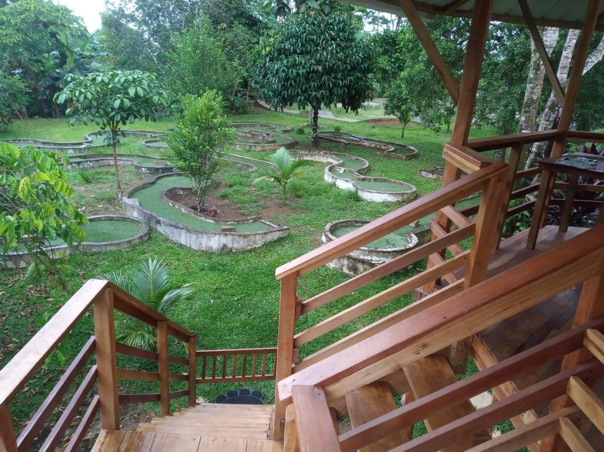 Hostal Suna Vito Пуэрто-Асис Экстерьер фото